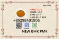 Factory direct supply 28578-16-7 New BMK PMK Powder 5449-12-7