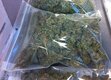 Buy Weed, coke, meth, pills 420, bud marijuana, Hash in Poland – Premium Cannabis Only