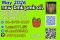 Best Price CAS 28578-16-7CAS 49851-31-2 High Purity B.MK