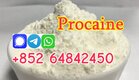 Procaine Base Cas 59-46-1  Procaine hcl cas 51-05-8