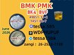 Chemical Production Manufacturer  cas 28578-16-7 PMK
