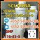 High-quality 5cladba, 5cladb, adbb,1119-51-3 precursors