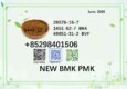 CAS 28578-16-7 supervises BMK 5449-12-7 factory direct supply