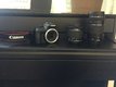 Canon EOS 100D body + EF-S 18 - 55 mm I 300 mm DC III