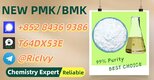 CAS: 28578-16-7,5449-12-7 New P.MK B.MK Powder/Oil