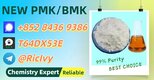 Worldwide Trading Vendor 28578-16-7 Powder 5449-12-7 P.MK Oil