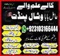 Amil Baba Bangali specializes in black magic removal, love problem solution, spiritual healing, Sephi Ilam, and Nori Ilam, Amil