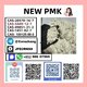 PMK powder Cas28578-16-7 Pmk Ethyl Glycidatei Powder stable supplier