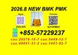 Original Manufacturer PM.K Oil CAS 28578-16-7 Using B.MK Powder 5449-12-7