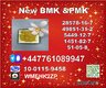 New B.M.K 5449-12-7 P.M.K Powder 28578-16-7 Leading Supplier