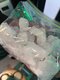 kristalni metamfetamin, ketamin v prahu, čarobne gobe, DMT-vložki, aderall, fentanil, ponarejeni bankovci, alfa-PVP (Flakka)