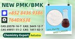 Well-Established Factory Supply P.MK 28578-16-7 With B.MK 5449-12-7