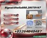  Worldwide-TradingVendor 28578-16-7 Powder 5449-12-7 P.MK Oil