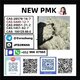 PMK oil cas28578-16-7 Pmk Ethyl Glycidatei Powder stable supplier