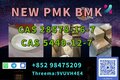 PMK 28578-16-7 powder oil ethyl glycidate Supply In Stock 2026.5