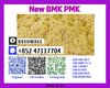 CAS 28578-16-7 p.m.k+5449-12-7 b.m.k