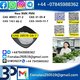 28578-16-7 P.M.K Powder P.M.K methyl glycidate