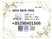 CAS 5449-12-7 and 28578-16-7 factory bulk supply 1451-82-7 & 49851-31-2 new BMK PMK