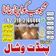 Authentic Amil Baba uk  “Best Amil Baba “Top 10 Amil Baba “World Famous Amil Baba” “International Amil Baba” “Rohani Amil Baba”