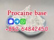 CAS59-46-1 Procaine base  Procaine powder  Procaine supplier