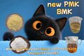 NEW PMK BMK CAS 28578-16-7+CAS 5449-12-7 Finished China Factory