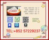 CAS 28578-16-7 PMK Ethyl Glycidate Powder 99% High Purity Fast Shipping 5449-12-7 BMK