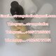 Nitazenes powder,MDMB-4en-PINACA,Etomidate powder,JWH-018,ADB Butinaca,A-PVP,5Cladba,Fentanyl,6Cladba,5F-ADB-PINACA,5F-MDMB-PINA