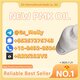 New PMK Ethyl Glycidate Oil | 99.5%+ Pure | GMP Standard | Global Shipping