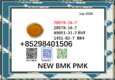 28578-16-7 integrated BMK 5449-12-7 glycidic acid sodium salt sell