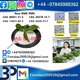 BMK PMK 51-05-8 Procaine HCl raw materials