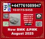 51-05-8 Procaine BMK 5449-12-7 & PMK 28578-16-7 AND pmk ethyl glycidate,BMK Glycidic Acid