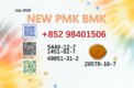 CAS 5449-12-7 BMK CAS 28578-16-7 channels PMK hot sale