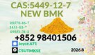 BMK Glycidic Acid 99% Powder CAS 5449-12-7