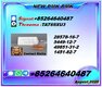 Innovative blueprint 5449-12-7 coordinated with 28578-16-7 