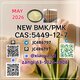 Factory Supply CAS: 5449-12-7,CAS: 28578-16-7 CAS: 1451-82-7,CAS: 49851-31-2,,BMK PMK Powder/Oil
