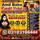 Asli Amil baba pandit Vishal kalajadu wala Amilbaba in pakistan