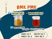 BMK Glycidic Acid sodium salt 99% High Purity CAS 5449-12-7 Powder Reliable Logistics Partner