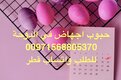 ادوية وحبوب اجهاظ في قطر ( 00971568805370)