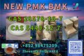 NEW PMK BMK CAS 5449-12-7 & CAS 1369021-80-6 Powder Oil Ethyl Glycidate Manufacture