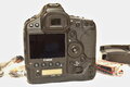 Canon EOS 1DX, iba 22512 cvakov