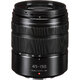 Panasonic Lumix G Vario 45-150mm f/4-5.6 ASPH. MEGA O.I.S.