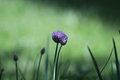 Pentacon 200 mm f4, závit M42 15 lamelová clona