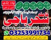 Lahore,Amil baba,Karachi,faislabad/A1,Amil baba Astrologer ,Best ,Rawalpindi Expert baba,Top5 Baba In Gujranwala,Multan, Hydraba