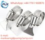 Direct Selling high-quality hose clamp Stock available now