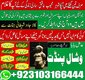 Amil baba in USA KALAIlma kalajadu Astrology 03103166444