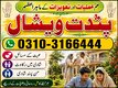 Astrology Consultation for Canada & USA – Amil Baba  Description: Amil Baba offers online astrology and personal guidance for in