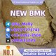 New BMK Powder 99.9% Purity | CAS 5413-05-8 | Pharmaceutical Intermediate Grade