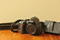 Nikon D3100, iba 2445 cvakov.