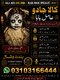 Amil Baba kala jadu all problem solutions just contact with Amil baba PANDIT JI Hindu +923103166444 #vashikaranspecialist #astro
