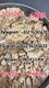 5cladba precursor raw 5cl-adb-a raw material